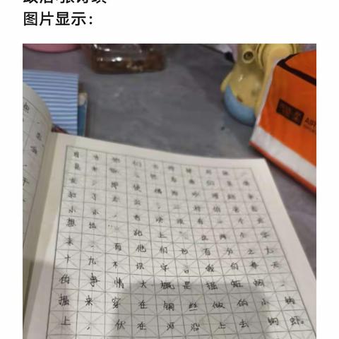 2211班第一轮寒作业提交情况