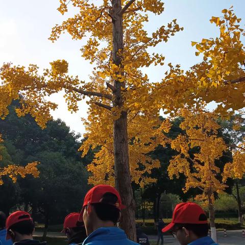 抵巴蜀胜地 感高知学府——第一站 西南交通大学