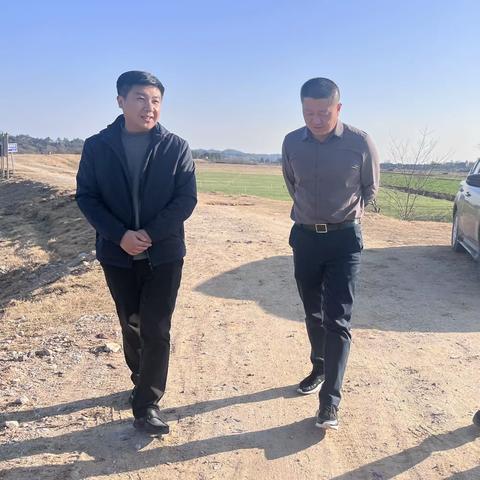 杨越武深入里塔镇油菜种植基地调研