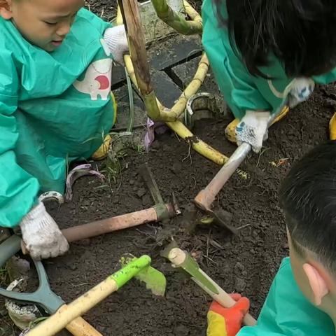 宽锄、双头锄头