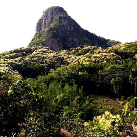 大湾区最美旅游公路明珠仙女峰