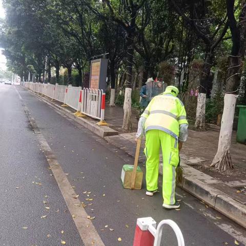 【宜良玉禾田】雨幕挥帚绘净路，寒珠染衣护洁城