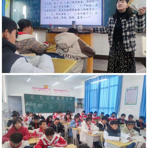 践行新课标，构建新课堂