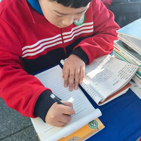 双减政策下初中语文分层作业设计策略