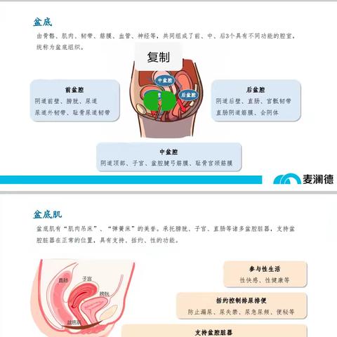 关爱女性健康，从盆底康复开始……