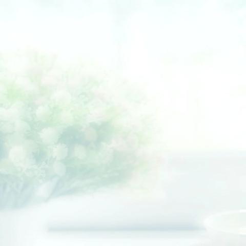 《湿地夜宴记》