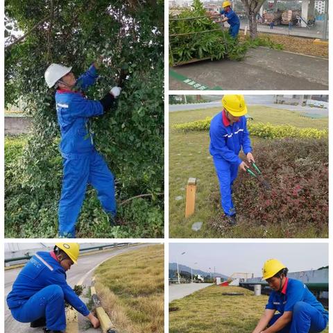 【三雷油库   黄应就】绿水青山就是金山银山