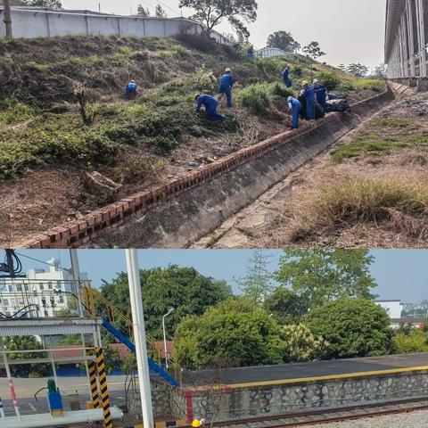 三雷油库全员出动，清除枯黄植被确保安全生产