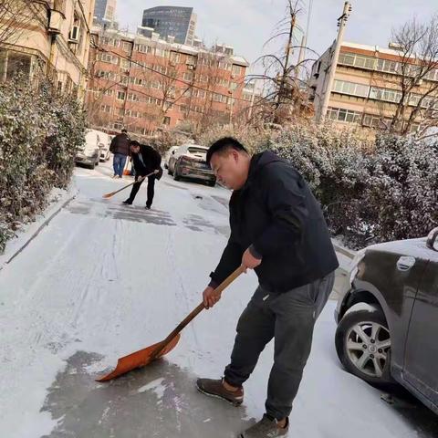 板桥社区组织工作人员清理积雪