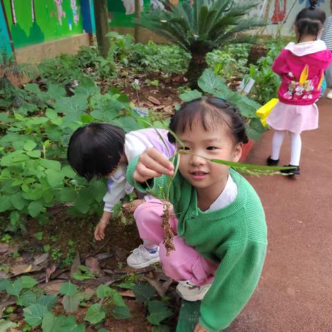 板利乡中心幼儿园大四班六月活动回顾！