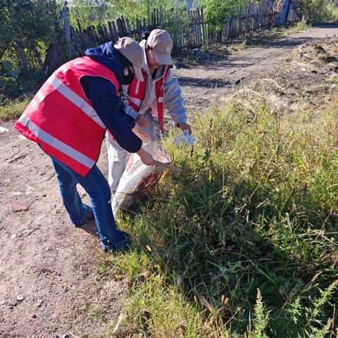 丰泽社区开展“清洁家园 喜迎国庆”环境卫生整治活动