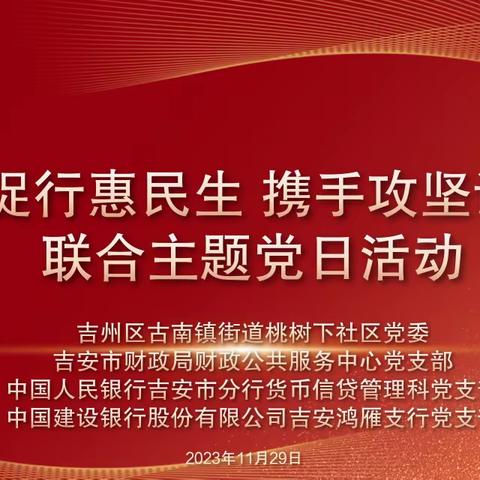 市财政局财政公共服务中心党支部赴桃树下社区开展11月联合主题党日活动