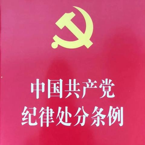 《中国共产党纪律处分条例》——汽开区实验幼儿园党支部