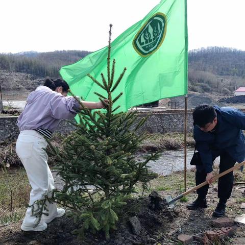 浑江区林业局开展春日植绿树活动