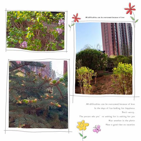 2024年4月内蒙均豪物业嘉和国际项目工作展示