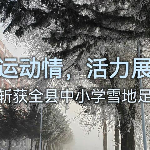 冰雪运动情，活力展风采——巴彦二中斩获全县中小学雪地足球赛亚军