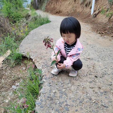 劳动最美丽，劳动最光荣