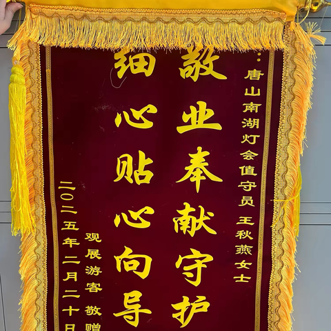 智暖灯海映初心 锦旗礼赞志愿红 ——文化传播公司党支部志愿服务 	以“智能温度”点亮灯会温情