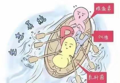 阴道微生态