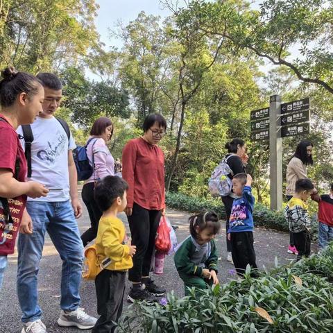 🍀云山远足，秋日寻叶🍀 天河第三实验幼儿园怡乐小班亲子远足