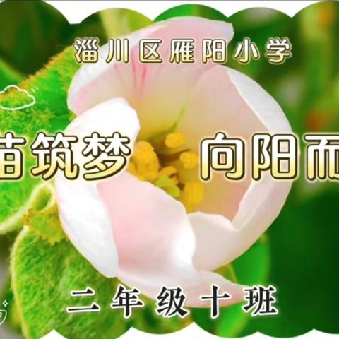 青苗筑梦  向阳而生