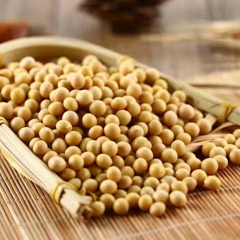 《黄豆美食记》—汝州市实验幼儿园中六班食育班本课程