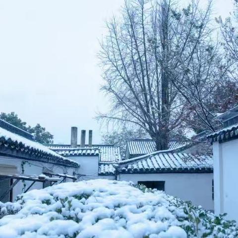 雪夜小记