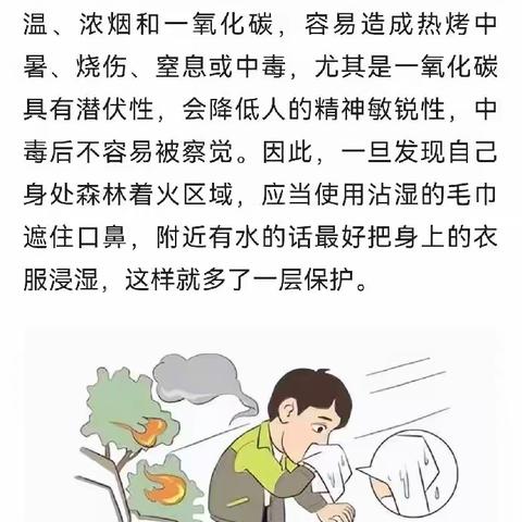 团城乡:森林防火，人人有责