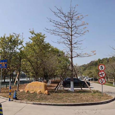 今天游玩莲湖生態公园