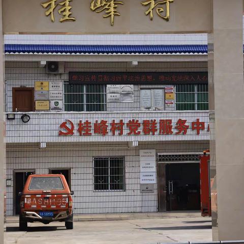 腊味的李花