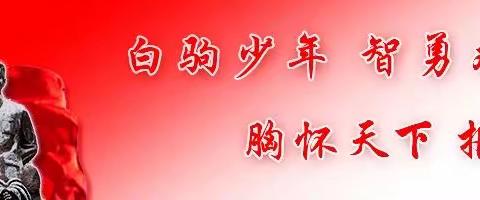 “英”你精彩，“语”你成长——海南白驹学校2024年学生英文绘本朗读比赛（2024.04.26）