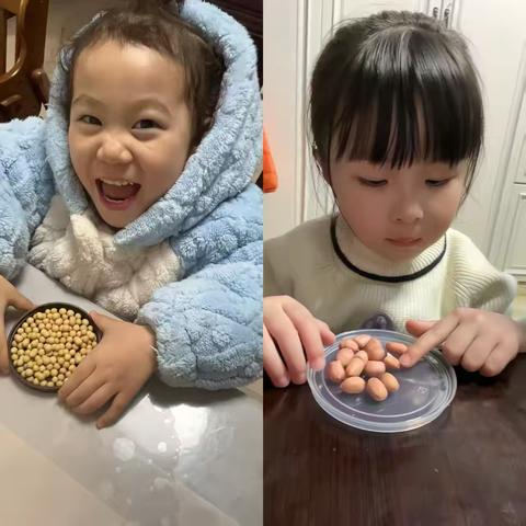 班本课程 | 神奇的种子