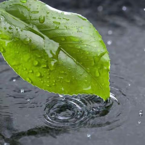 记忆中的花雨伞