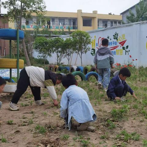 花开五月“悦”享劳动一一朱仙镇河东幼儿园五一劳动节主题活动