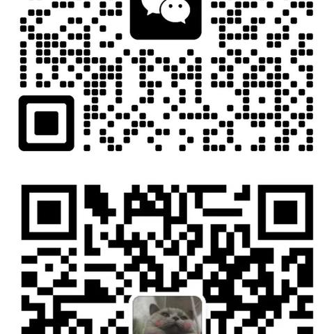 【探索者课程】关于秋游的故事——记哈尔滨香坊第三幼儿园省商务厅分园“秋日寻色，拥抱自然” 秋游主题活动
