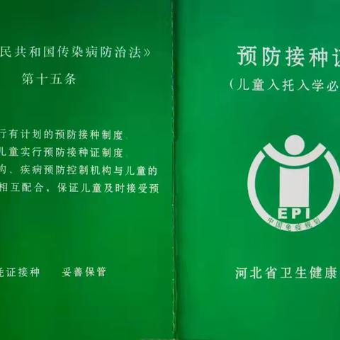 入学入托报名季 预防接种证要备好