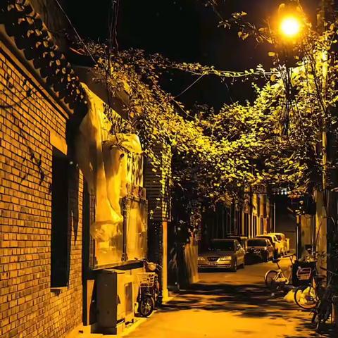 灯火通明的巷子