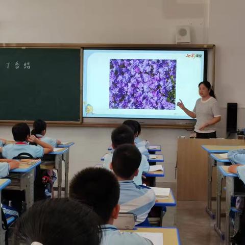 巧设学习单   提升学习力 《小课题研究》—核心素养导向下学习单设计的有效性研究：以第三学段为例