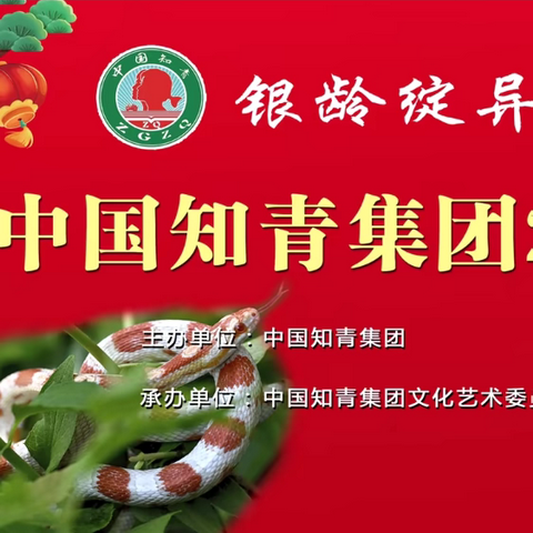 银龄焕异彩 💫青春再启航 ‍中国知青集团2025年 ‍春节联欢会