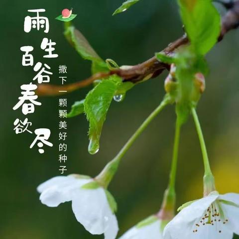 “雨生谷雨，时值暮春”——世纪星幼儿园谷雨活动