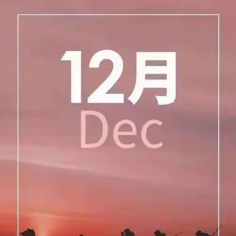 【自治区烟草】项目部12月份工作简报