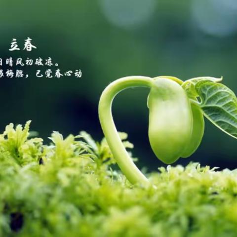 【自治区烟草】项目部 ﻿2025年2月份工作服务简报