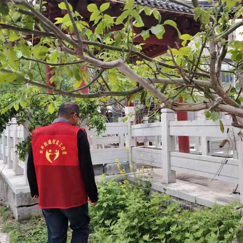 “踏遍辖区无死角 严查罂粟护平安”——赵桥社区开展非法种植罂粟专项排查与禁毒宣传行动