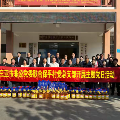 三亚市工商联（总商会）携手三亚市非公党委走进保平村开展2025年新春慰问暨缅怀革命烈士主题党日活动