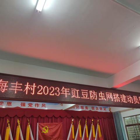 海丰召开2023年豇豆防虫网搭建工作部署会