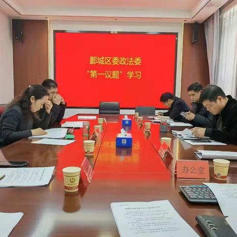郾城区委政法委开展一月份主题党日