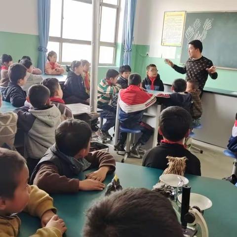 落实双减有力度    课后服务有温度               广河县宗家小学