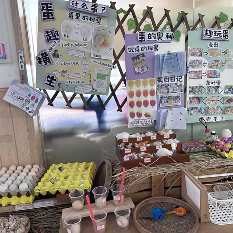 蛋趣横生 ‍ ‍