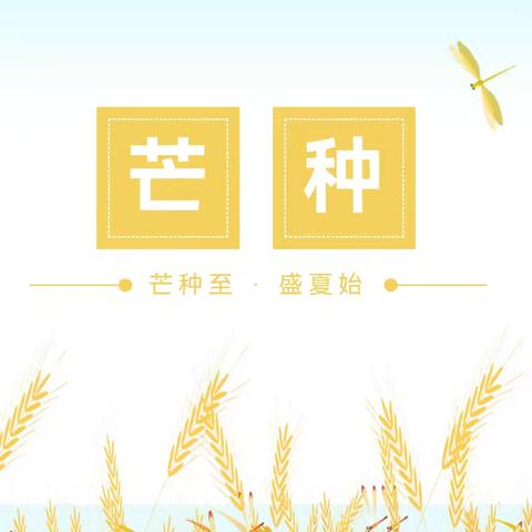 “幼”见芒种，乐享仲夏——叫河镇中心幼儿园大一班芒种节气主题活动