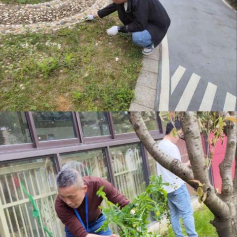 【万能爸爸】第十八期:     亲子携手齐除草   美丽校园共守护